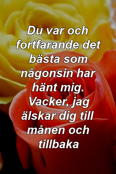 Du var och fortfarande det bästa som någonsin har hänt mig. Vacker, jag älskar dig till månen och tillbaka