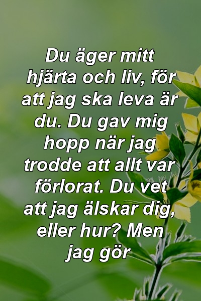 Du äger mitt hjärta och liv, för att jag ska leva är du. Du gav mig hopp när jag trodde att allt var förlorat. Du vet att jag älskar dig, eller hur? Men jag gör