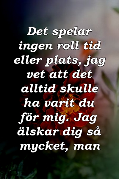 Det spelar ingen roll tid eller plats, jag vet att det alltid skulle ha varit du för mig. Jag älskar dig så mycket, man