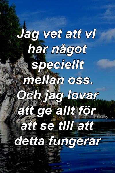 Jag vet att vi har något speciellt mellan oss. Och jag lovar att ge allt för att se till att detta fungerar