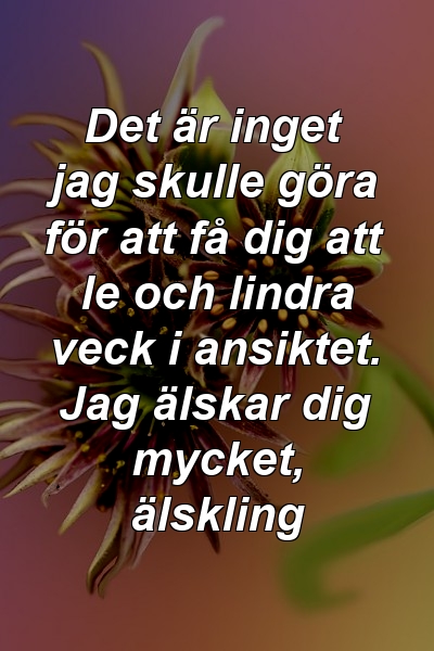 Det är inget jag skulle göra för att få dig att le och lindra veck i ansiktet. Jag älskar dig mycket, älskling