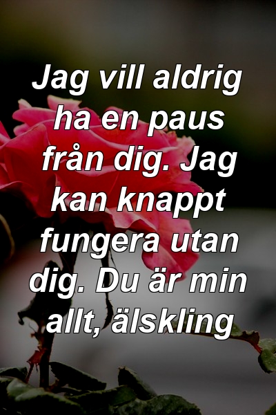 Jag vill aldrig ha en paus från dig. Jag kan knappt fungera utan dig. Du är min allt, älskling