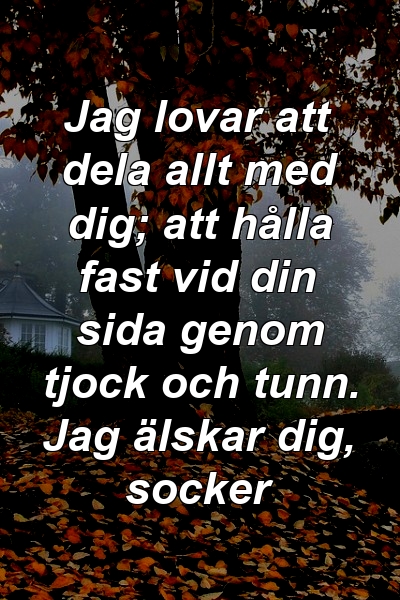 Jag lovar att dela allt med dig; att hålla fast vid din sida genom tjock och tunn. Jag älskar dig, socker