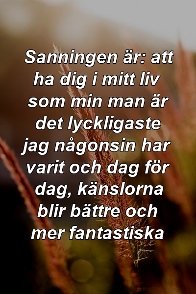 Sanningen är: att ha dig i mitt liv som min man är det lyckligaste jag någonsin har varit och dag för dag, känslorna blir bättre och mer fantastiska