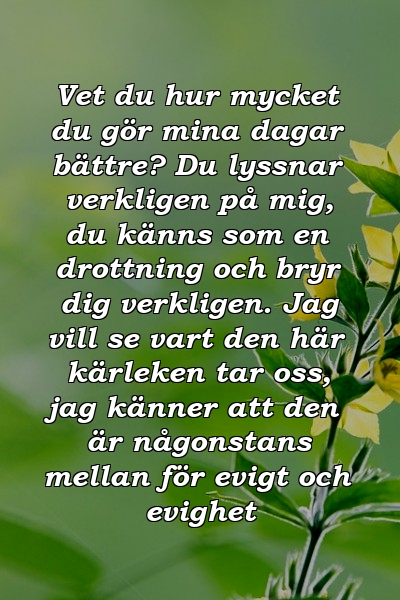 Vet du hur mycket du gör mina dagar bättre? Du lyssnar verkligen på mig, du känns som en drottning och bryr dig verkligen. Jag vill se vart den här kärleken tar oss, jag känner att den är någonstans mellan för evigt och evighet