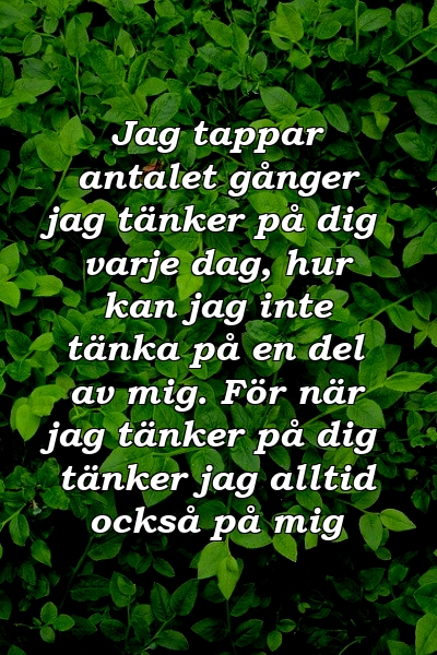 Jag tappar antalet gånger jag tänker på dig varje dag, hur kan jag inte tänka på en del av mig. För när jag tänker på dig tänker jag alltid också på mig