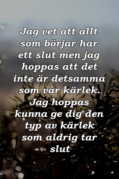 Jag vet att allt som börjar har ett slut men jag hoppas att det inte är detsamma som vår kärlek. Jag hoppas kunna ge dig den typ av kärlek som aldrig tar slut