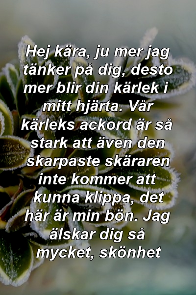 Hej kära, ju mer jag tänker på dig, desto mer blir din kärlek i mitt hjärta. Vår kärleks ackord är så stark att även den skarpaste skäraren inte kommer att kunna klippa, det här är min bön. Jag älskar dig så mycket, skönhet