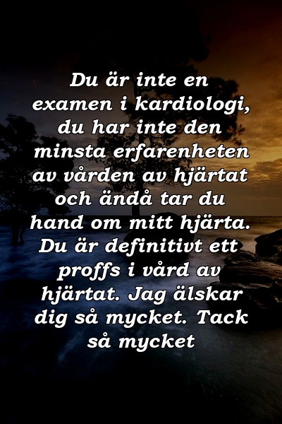 Du är inte en examen i kardiologi, du har inte den minsta erfarenheten av vården av hjärtat och ändå tar du hand om mitt hjärta. Du är definitivt ett proffs i vård av hjärtat. Jag älskar dig så mycket. Tack så mycket