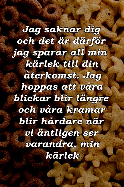 Jag saknar dig och det är därför jag sparar all min kärlek till din återkomst. Jag hoppas att våra blickar blir längre och våra kramar blir hårdare när vi äntligen ser varandra, min kärlek