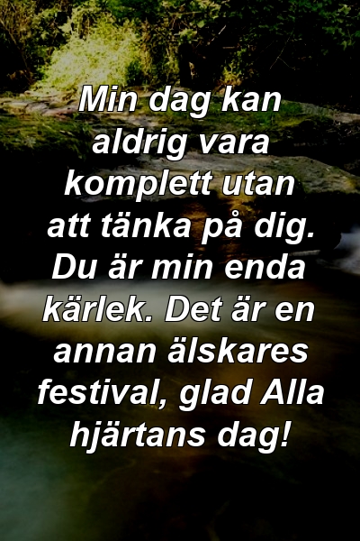 Min dag kan aldrig vara komplett utan att tänka på dig. Du är min enda kärlek. Det är en annan älskares festival, glad Alla hjärtans dag!