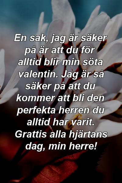 En sak, jag är säker på är att du för alltid blir min söta valentin. Jag är så säker på att du kommer att bli den perfekta herren du alltid har varit. Grattis alla hjärtans dag, min herre!