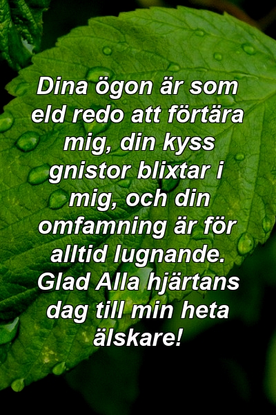 Dina ögon är som eld redo att förtära mig, din kyss gnistor blixtar i mig, och din omfamning är för alltid lugnande. Glad Alla hjärtans dag till min heta älskare!