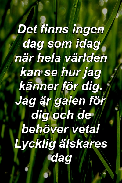 Det finns ingen dag som idag när hela världen kan se hur jag känner för dig. Jag är galen för dig och de behöver veta! Lycklig älskares dag