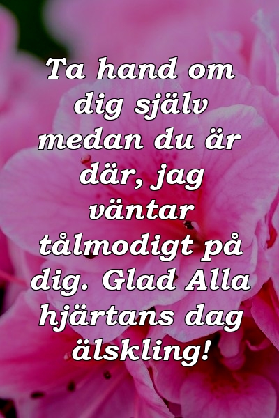 Ta hand om dig själv medan du är där, jag väntar tålmodigt på dig. Glad Alla hjärtans dag älskling!