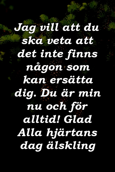 Jag vill att du ska veta att det inte finns någon som kan ersätta dig. Du är min nu och för alltid! Glad Alla hjärtans dag älskling