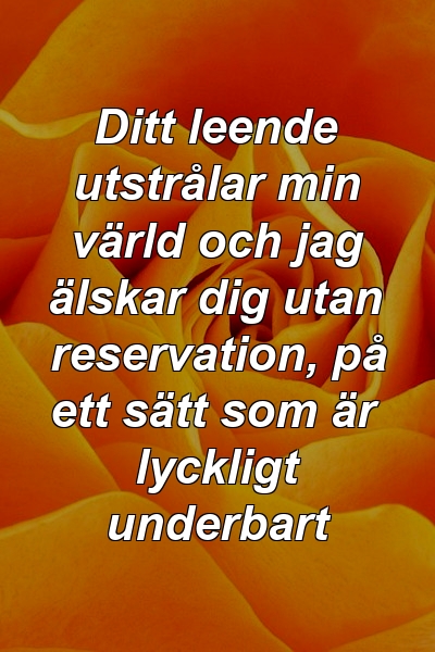 Ditt leende utstrålar min värld och jag älskar dig utan reservation, på ett sätt som är lyckligt underbart