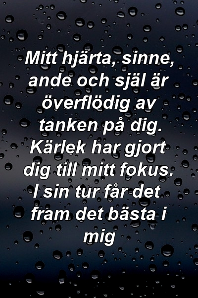 Mitt hjärta, sinne, ande och själ är överflödig av tanken på dig. Kärlek har gjort dig till mitt fokus. I sin tur får det fram det bästa i mig