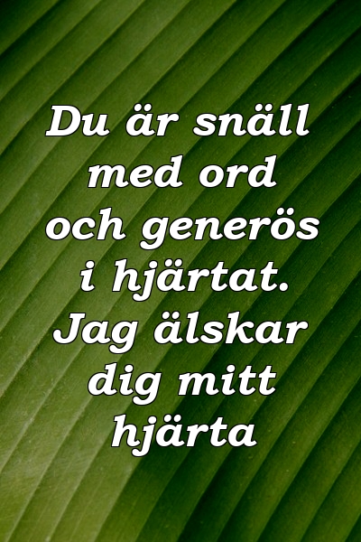 Du är snäll med ord och generös i hjärtat. Jag älskar dig mitt hjärta