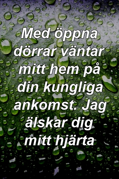 Med öppna dörrar väntar mitt hem på din kungliga ankomst. Jag älskar dig mitt hjärta