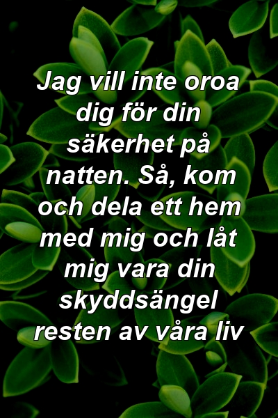 Jag vill inte oroa dig för din säkerhet på natten. Så, kom och dela ett hem med mig och låt mig vara din skyddsängel resten av våra liv