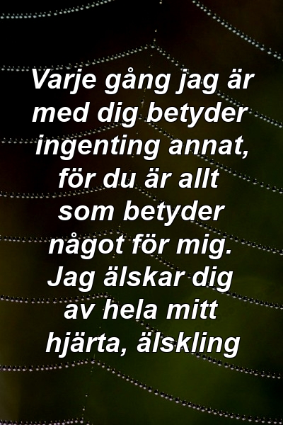 Varje gång jag är med dig betyder ingenting annat, för du är allt som betyder något för mig. Jag älskar dig av hela mitt hjärta, älskling