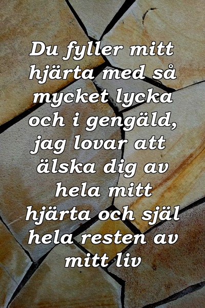 Du fyller mitt hjärta med så mycket lycka och i gengäld, jag lovar att älska dig av hela mitt hjärta och själ hela resten av mitt liv