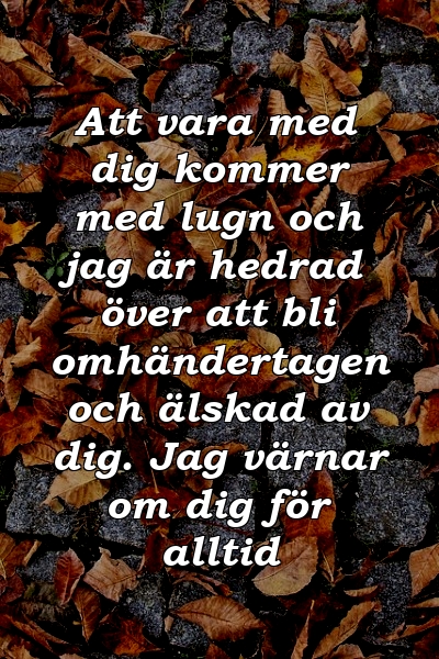 Att vara med dig kommer med lugn och jag är hedrad över att bli omhändertagen och älskad av dig. Jag värnar om dig för alltid