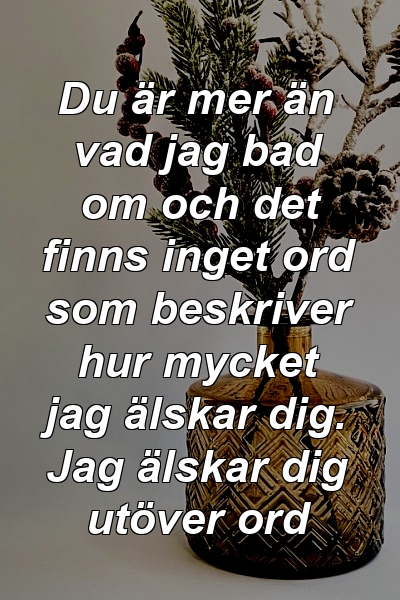 Du är mer än vad jag bad om och det finns inget ord som beskriver hur mycket jag älskar dig. Jag älskar dig utöver ord