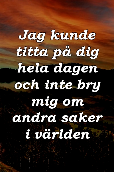 Jag kunde titta på dig hela dagen och inte bry mig om andra saker i världen