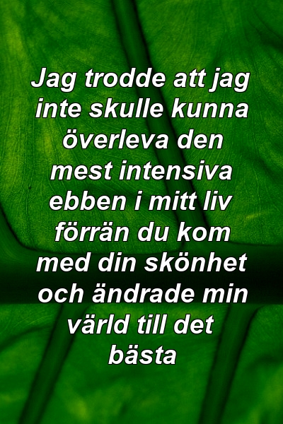 Jag trodde att jag inte skulle kunna överleva den mest intensiva ebben i mitt liv förrän du kom med din skönhet och ändrade min värld till det bästa