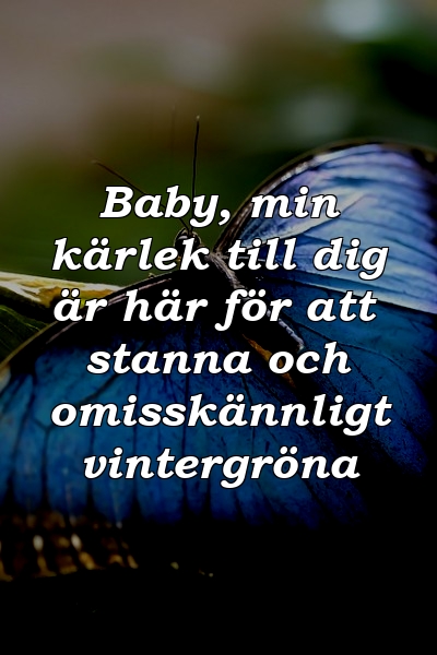 Baby, min kärlek till dig är här för att stanna och omisskännligt vintergröna