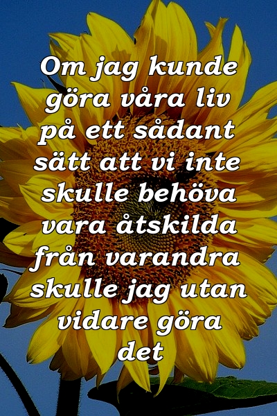 Om jag kunde göra våra liv på ett sådant sätt att vi inte skulle behöva vara åtskilda från varandra skulle jag utan vidare göra det