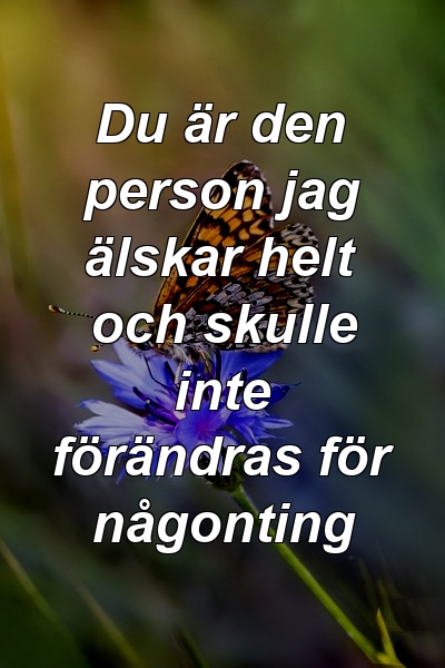 Du är den person jag älskar helt och skulle inte förändras för någonting