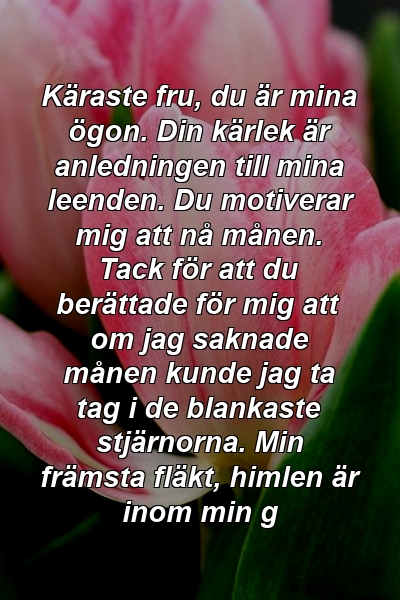 Käraste fru, du är mina ögon. Din kärlek är anledningen till mina leenden. Du motiverar mig att nå månen. Tack för att du berättade för mig att om jag saknade månen kunde jag ta tag i de blankaste stjärnorna. Min främsta fläkt, himlen är inom min g