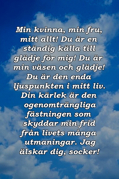 Min kvinna, min fru, mitt allt! Du är en ständig källa till glädje för mig! Du är min väsen och glädje! Du är den enda ljuspunkten i mitt liv. Din kärlek är den ogenomträngliga fästningen som skyddar min frid från livets många utmaningar. Jag älskar dig, socker!