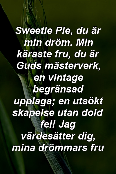 Sweetie Pie, du är min dröm. Min käraste fru, du är Guds mästerverk, en vintage begränsad upplaga; en utsökt skapelse utan dold fel! Jag värdesätter dig, mina drömmars fru