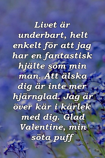 Livet är underbart, helt enkelt för att jag har en fantastisk hjälte som min man. Att älska dig är inte mer hjärnglad. Jag är över kär i kärlek med dig. Glad Valentine, min söta puff