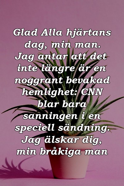 Glad Alla hjärtans dag, min man. Jag antar att det inte längre är en noggrant bevakad hemlighet: CNN blar bara sanningen i en speciell sändning. Jag älskar dig, min bråkiga man