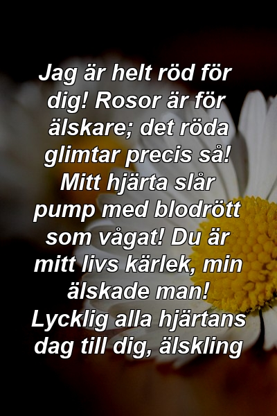 Jag är helt röd för dig! Rosor är för älskare; det röda glimtar precis så! Mitt hjärta slår pump med blodrött som vågat! Du är mitt livs kärlek, min älskade man! Lycklig alla hjärtans dag till dig, älskling