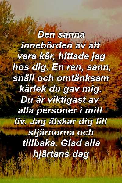 Den sanna innebörden av att vara kär, hittade jag hos dig. En ren, sann, snäll och omtänksam kärlek du gav mig. Du är viktigast av alla personer i mitt liv. Jag älskar dig till stjärnorna och tillbaka. Glad alla hjärtans dag