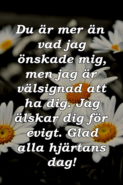 Du är mer än vad jag önskade mig, men jag är välsignad att ha dig. Jag älskar dig för evigt. Glad alla hjärtans dag!