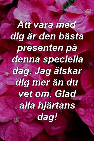 Att vara med dig är den bästa presenten på denna speciella dag. Jag älskar dig mer än du vet om. Glad alla hjärtans dag!