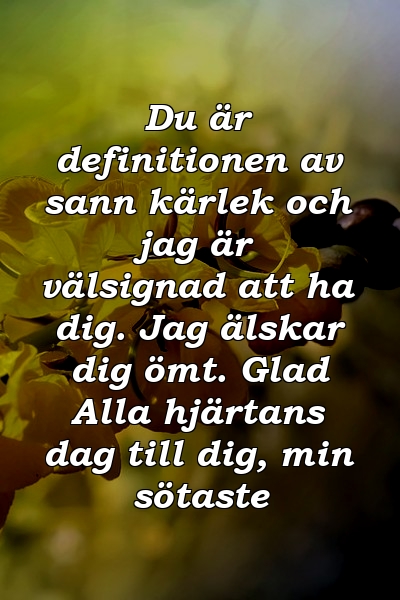 Du är definitionen av sann kärlek och jag är välsignad att ha dig. Jag älskar dig ömt. Glad Alla hjärtans dag till dig, min sötaste