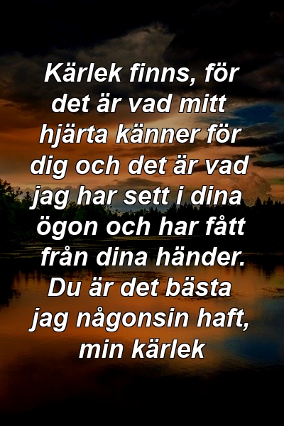 Kärlek finns, för det är vad mitt hjärta känner för dig och det är vad jag har sett i dina ögon och har fått från dina händer. Du är det bästa jag någonsin haft, min kärlek