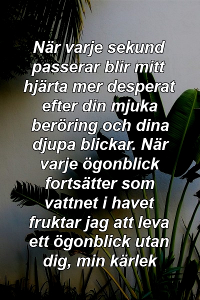 När varje sekund passerar blir mitt hjärta mer desperat efter din mjuka beröring och dina djupa blickar. När varje ögonblick fortsätter som vattnet i havet fruktar jag att leva ett ögonblick utan dig, min kärlek