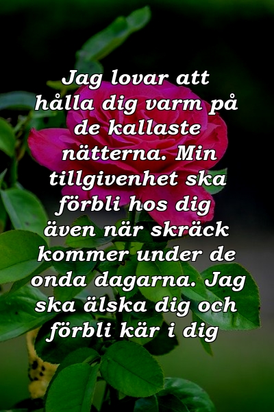 Jag lovar att hålla dig varm på de kallaste nätterna. Min tillgivenhet ska förbli hos dig även när skräck kommer under de onda dagarna. Jag ska älska dig och förbli kär i dig