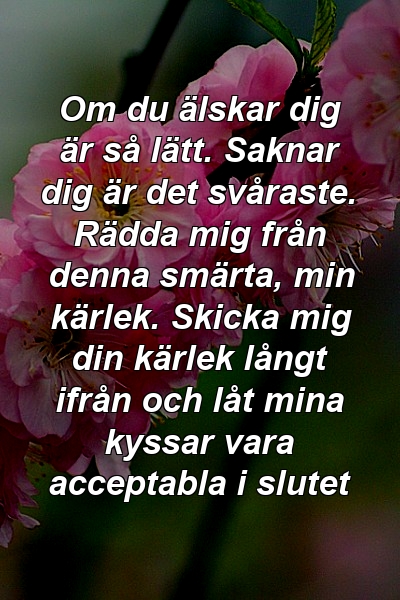 Om du älskar dig är så lätt. Saknar dig är det svåraste. Rädda mig från denna smärta, min kärlek. Skicka mig din kärlek långt ifrån och låt mina kyssar vara acceptabla i slutet