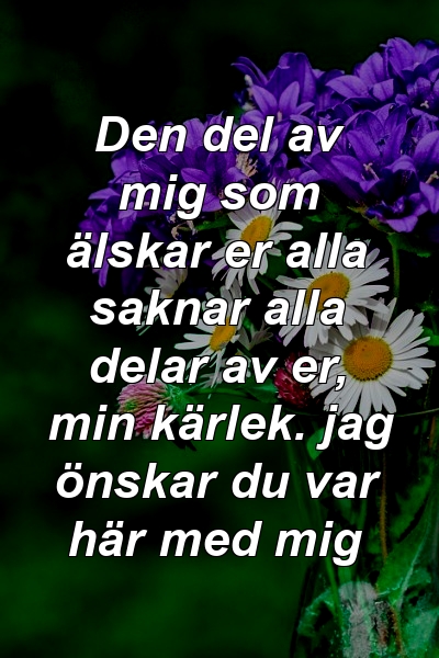 Den del av mig som älskar er alla saknar alla delar av er, min kärlek. jag önskar du var här med mig