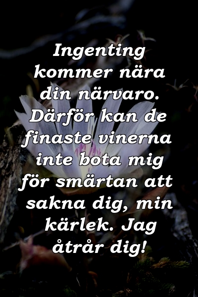 Ingenting kommer nära din närvaro. Därför kan de finaste vinerna inte bota mig för smärtan att sakna dig, min kärlek. Jag åtrår dig!